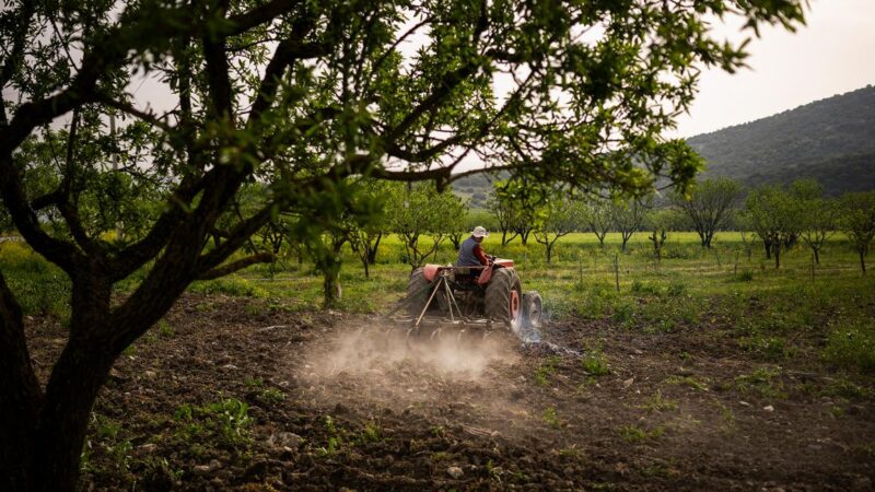 Il Parlamento europeo approva la revisione della Politica agricola comune